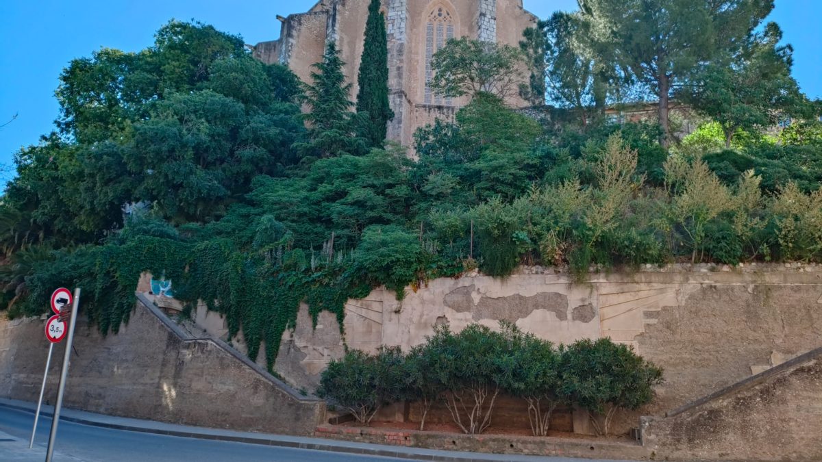 EL VALLS DEL FUTUR